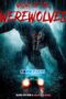 Night.Of.The.Werewolves.1XBET